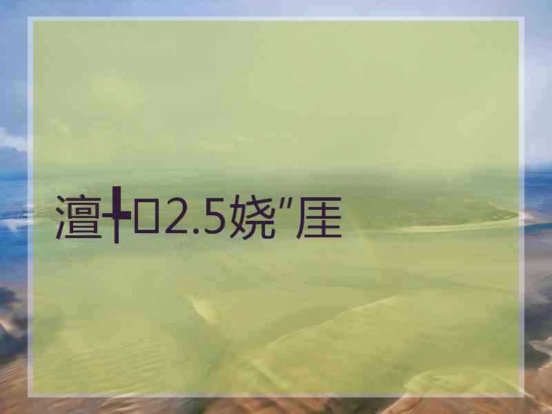 澶╄2.5娆″厓
