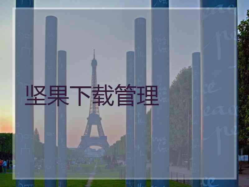 坚果下载管理