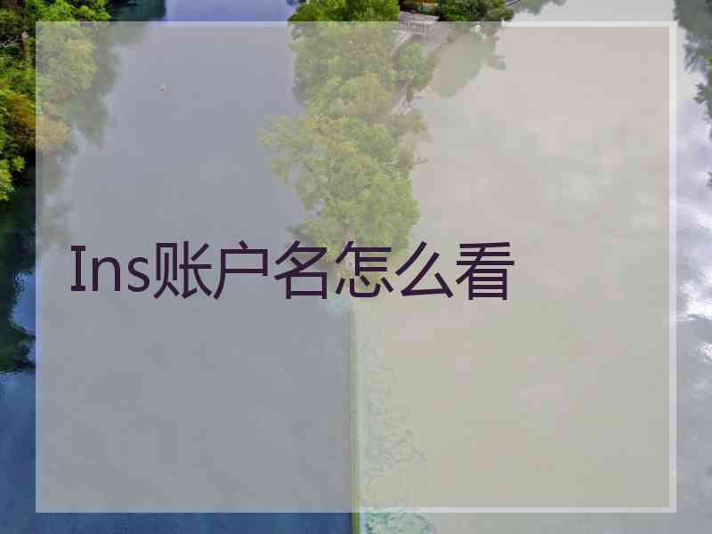 Ins账户名怎么看
