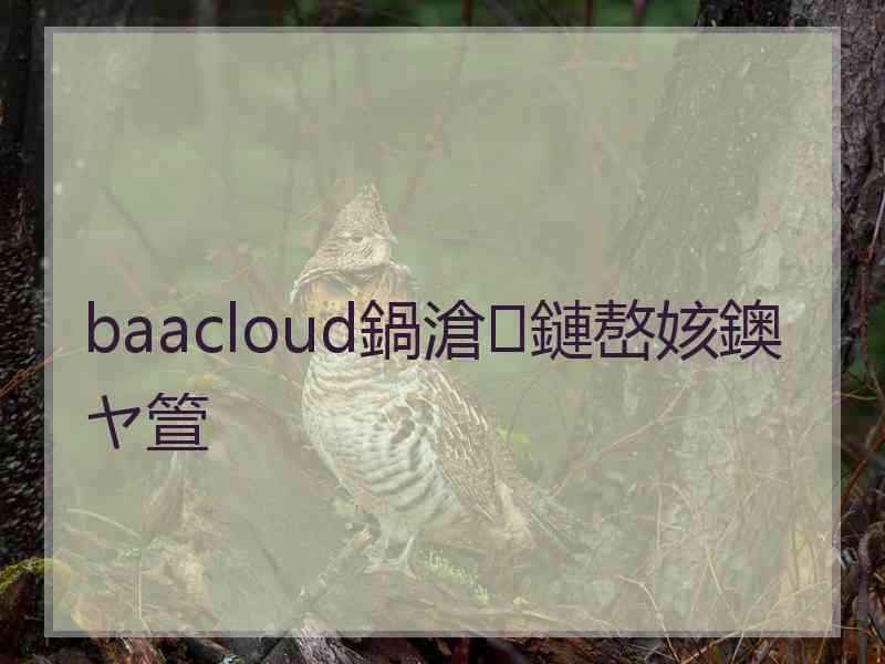 baacloud鍋滄鏈嶅姟鐭ヤ箮