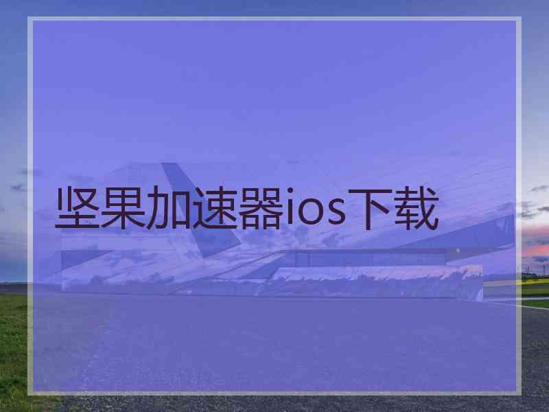 坚果加速器ios下载