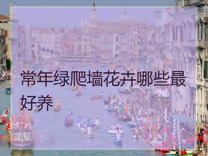 常年绿爬墙花卉哪些最好养