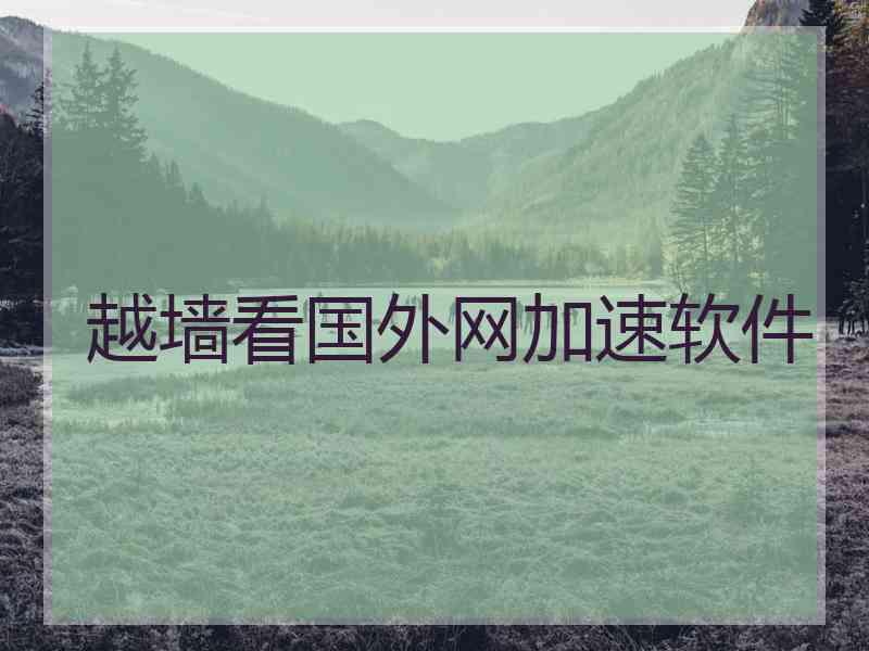 越墙看国外网加速软件
