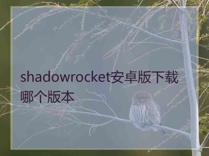 shadowrocket安卓版下载哪个版本