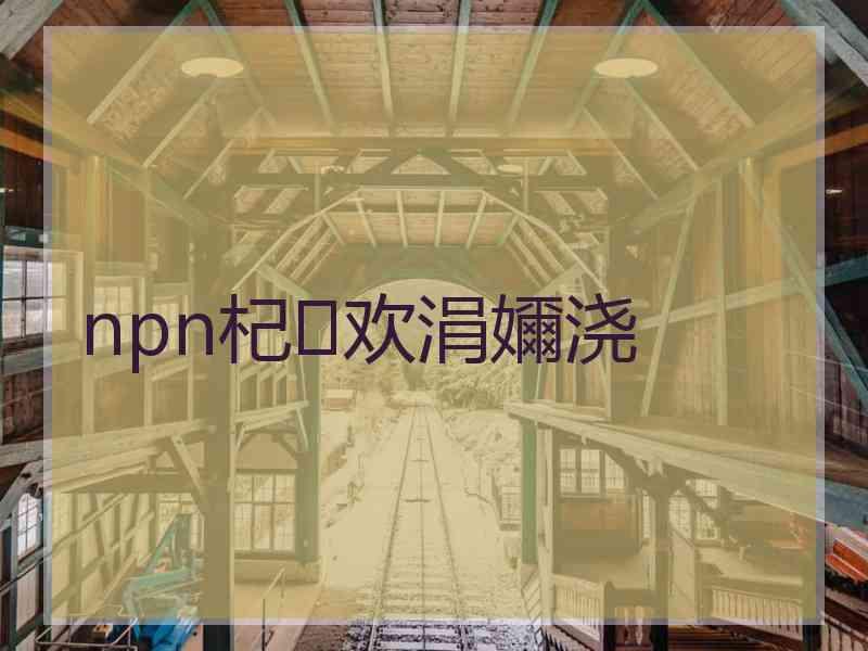 npn杞欢涓嬭浇