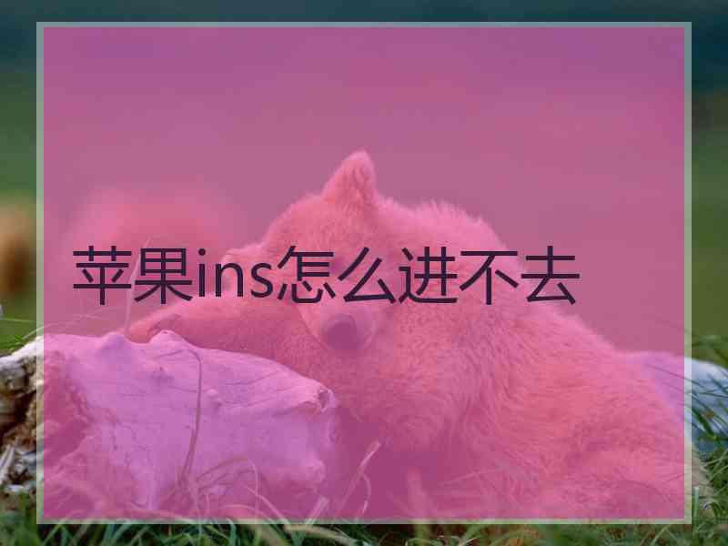 苹果ins怎么进不去