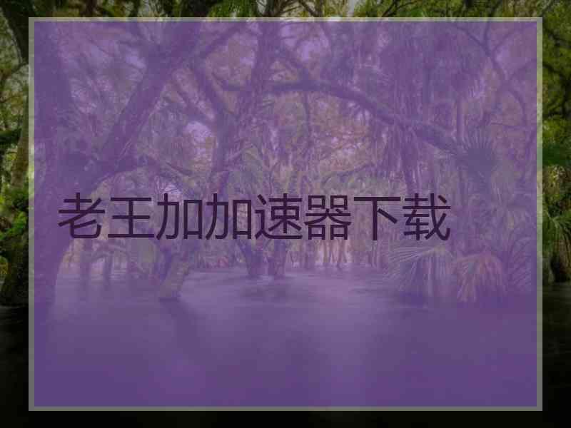 老王加加速器下载