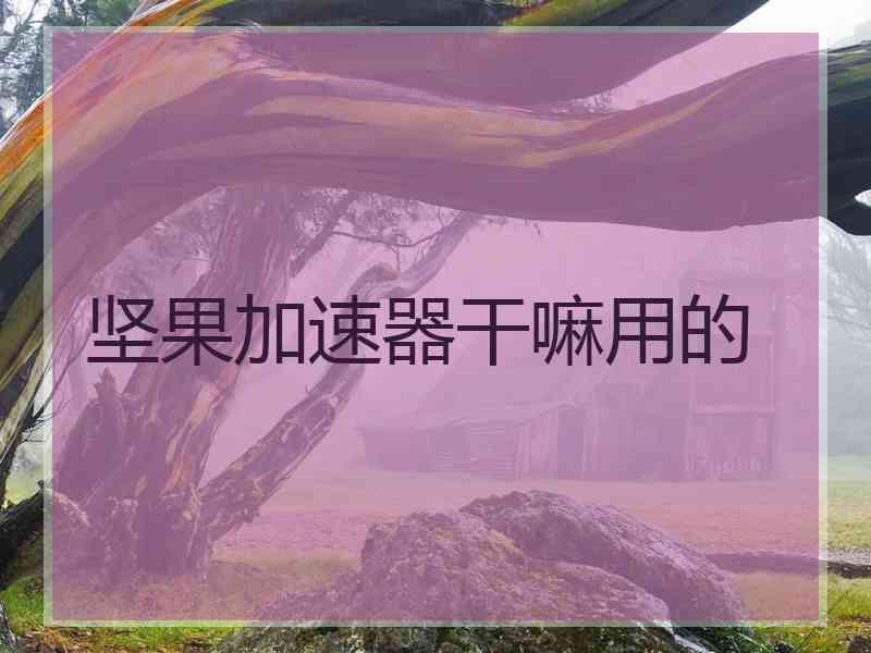 坚果加速器干嘛用的
