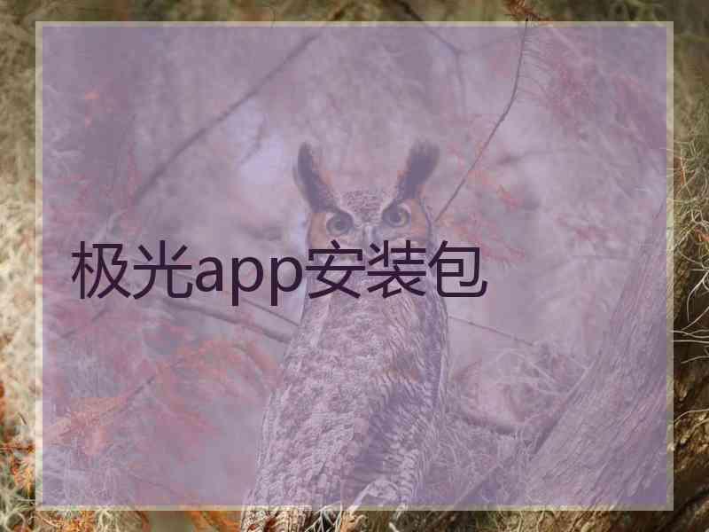 极光app安装包